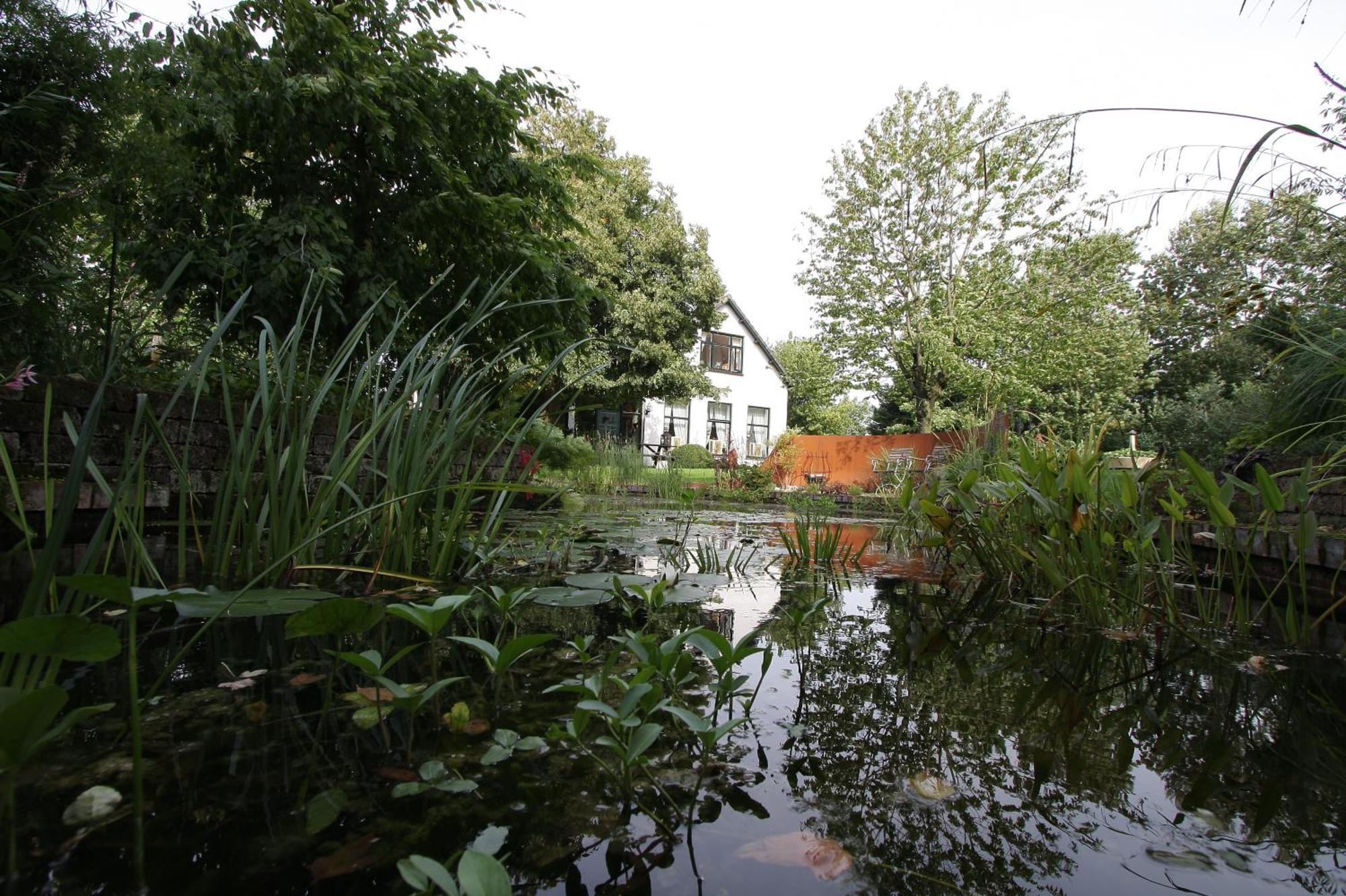 De Witte Wolk Bed & Breakfast Nieuw-Scheemda Luaran gambar