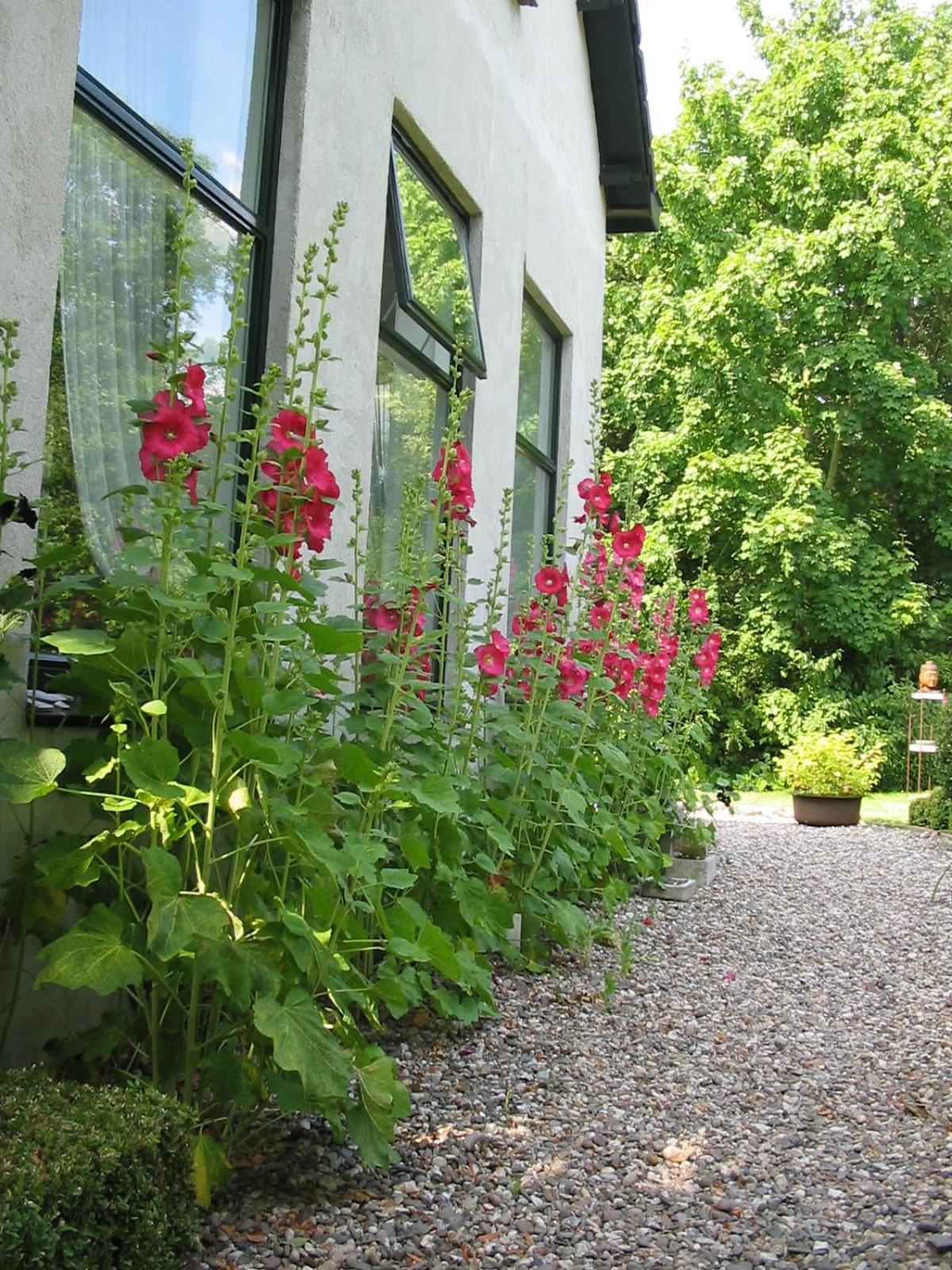 De Witte Wolk Bed & Breakfast Nieuw-Scheemda Luaran gambar